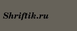 Century Schoolbook Bold Italic BT 